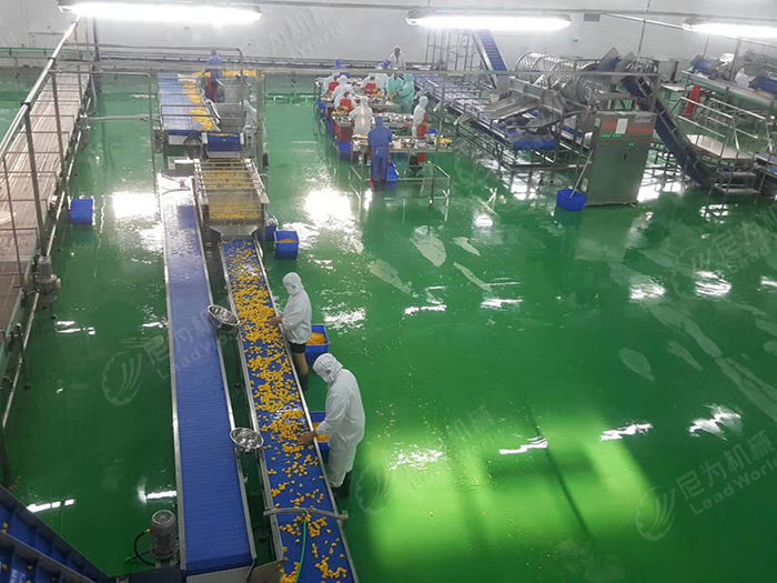 黃桃罐頭生產(chǎn)線